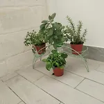 Dimo Dimira - Salento&relax Apartamento *