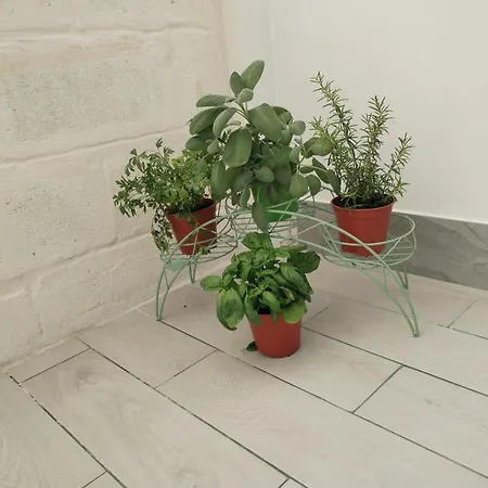 Dimo Dimira - Salento & Relax Apartment *